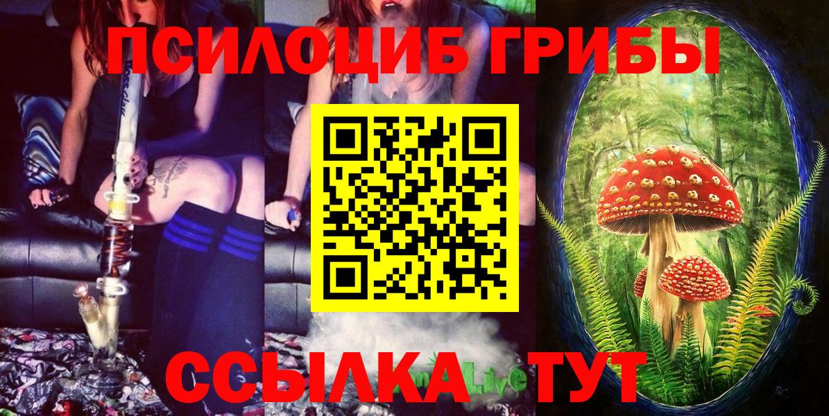 продажа наркотиков  Вход с VPN  Омск  Псилоцибиновые грибы ЛСД 