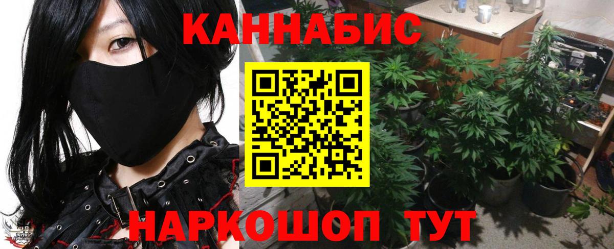 Бошки марихуана планчик Омск